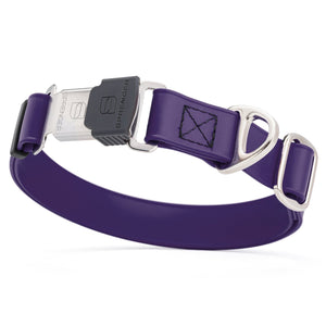 Violet Purple dog collar with silver Herm Sprenger buckle and metal D-ring, made from waterproof and odor resistant Biothane