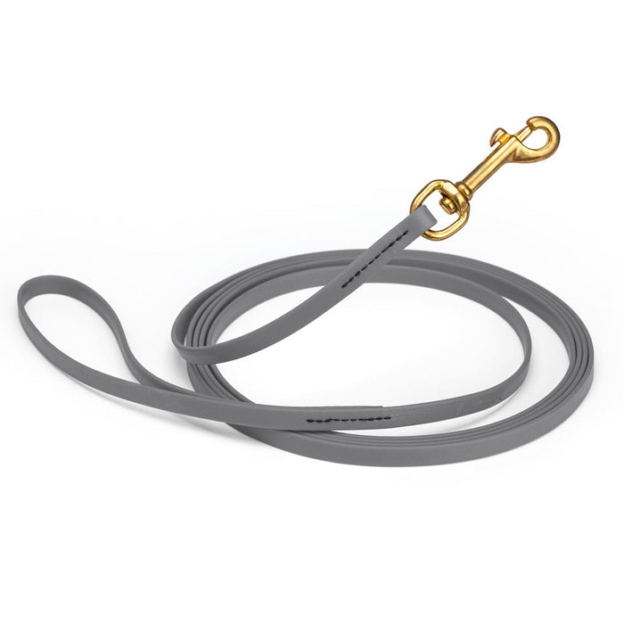 Battleship Gray Biothane dog leash with brass snap hook, waterproof, 3/8in wide, 10ft long