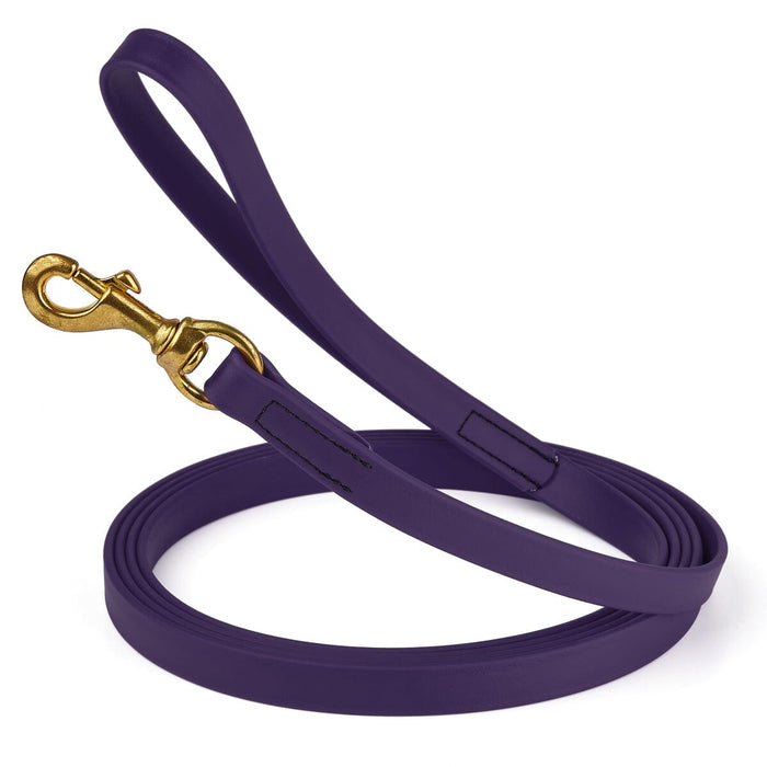 3/4in Violet Purple dog leash with brass snap, made from waterproof Biothane, 10 feet long