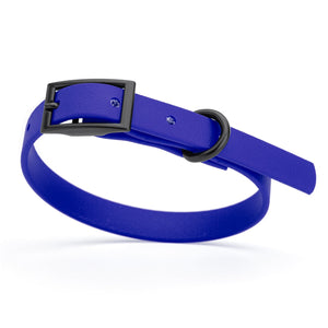 Blueberry dog collar with black hardware, made from waterproof biothane, 9 to 12 inches long