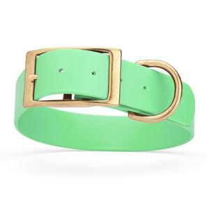 Seafoam Green waterproof collar for large dogs with brass buckle and D-ring, made from Biothane, size XL, 1.5-inch wide