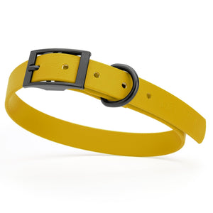 Treasure Gold waterproof dog collar with black metal buckle and D-ring, made from BioThane, fits medium dogs