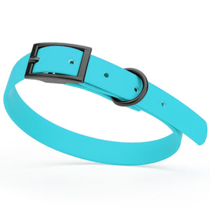 Sky blue dog collar with black hardware, made from waterproof biothane, 12 to 15 inches long 