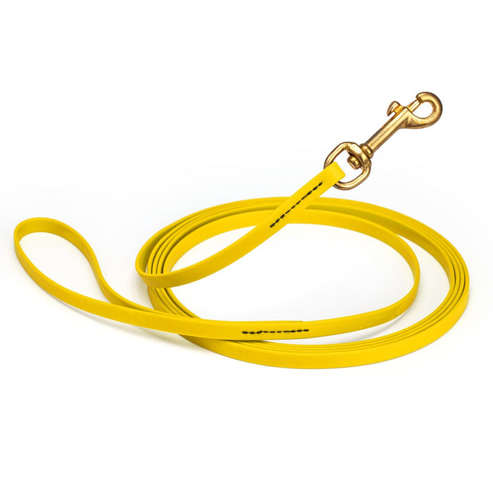 Lemon Yellow waterproof dog collar with brass hardware, 3/8 inch width, 15 feet length, made from Biothane