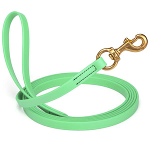 Seafoam Green BioThane dog collar with brass swivel snap hook, width 5/8 inch, length 10 feet