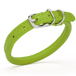 Lime green leather dog collar with metal hardware, 1/3 inches wide