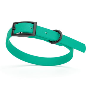 Teal dog collar with black hardware, made from waterproof biothane, 9 to 12 inches long
