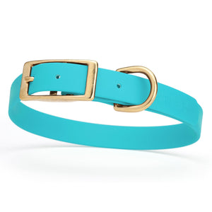 Biothane dog collar with brass buckle and D-ring, waterproof, fits medium dogs, width 3/4 inch, Sky Blue 