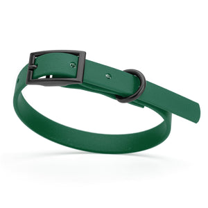 Hunter Green dog collar with black hardware, made from waterproof biothane, 9 to 12 inches long