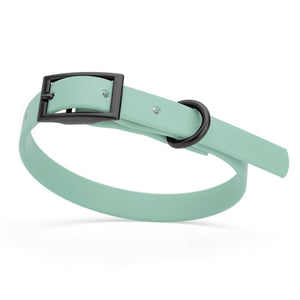 Sage Green dog collar with black hardware, made from waterproof biothane, 9 to 12 inches long
