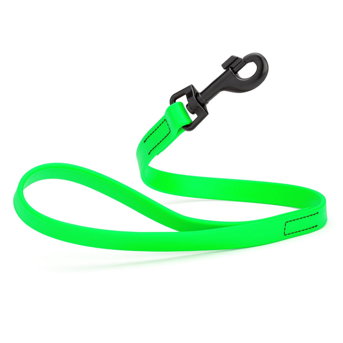 Biothane Waterproof Leash 2 ft