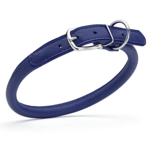 Royal blue leather dog collar with metal hardware, 1/2 inches wide