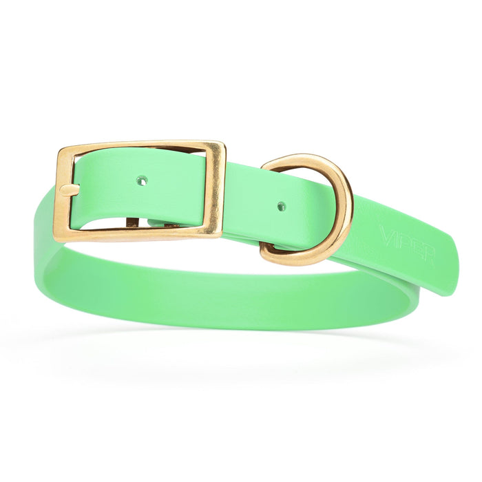 Seafoam Green dog collar with brass buckle and D-ring, made from waterproof Biothane, 1-inch wide, fits medium and large dogs