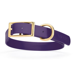 Violet Purple dog collar with brass hardware, made from waterproof Biothane, 1-inch wide, fits large dogs