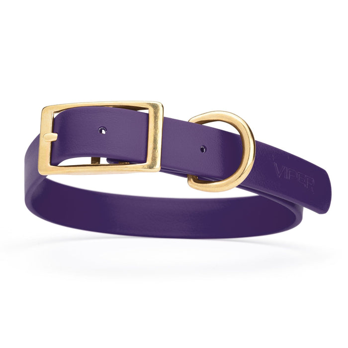 Violet Purple dog collar with brass hardware, made from waterproof Biothane, 1-inch wide, fits large dogs