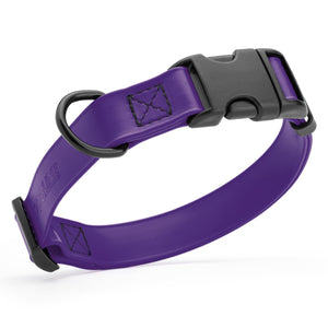 Violet Purple dog collar with black quick release buckle and metal D-ring, adjustable, 5/8 inches wide, made from waterproof Biothane