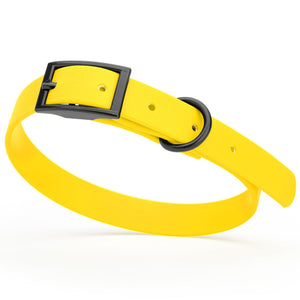 Lemon Yellow dog collar with black hardware, made from waterproof biothane, 12 to 15 inches long