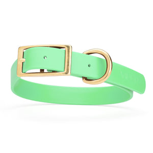 Seafoam Green dog collar with brass hardware, made from waterproof Biothane, 1-inch wide, fits large dogs