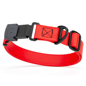 Cherry red dog collar with black Herm Sprenger buckle and metal D-ring, adjustable, made from waterproof and odor resistant Biothane