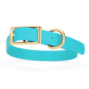 Sky Blue dog collar with brass buckle and D-ring, made from waterproof Biothane, 1-inch wide, fits medium and large dogs