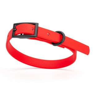 Cherry Red dog collar with black hardware, made from waterproof biothane, 9 to 12 inches long