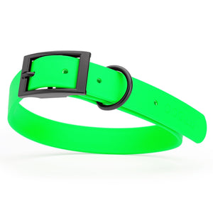 Tropical Green Biothane dog collar with black metal buckle and D-ring, width: 1 inch, x-large