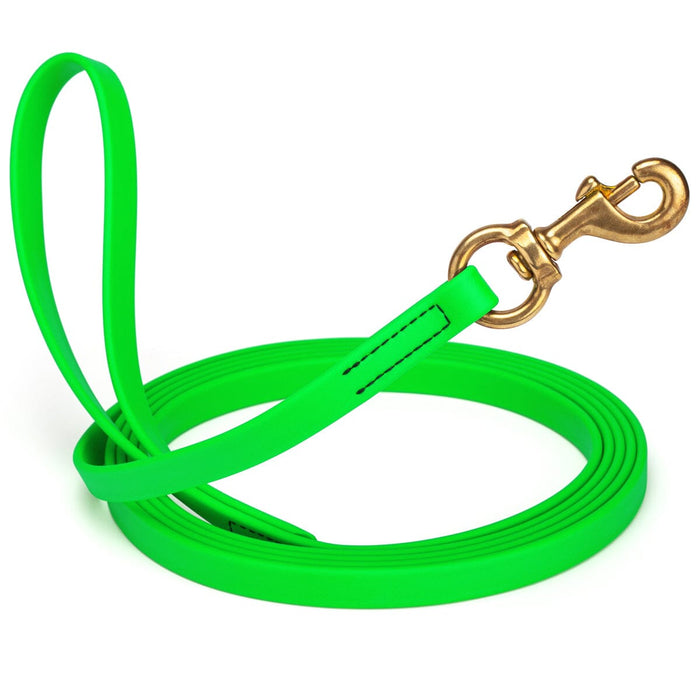 Tropical Green Biothane dog leash with brass swivel snap hook, 5/8 inch wide, 33 feet long