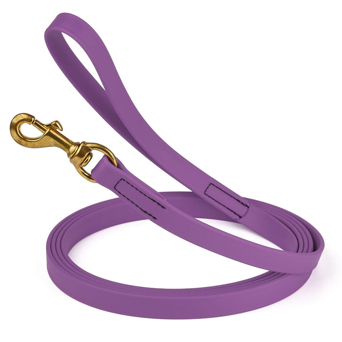 3/4in Amethyst Purple dog leash with brass snap, made from waterproof Biothane, 10 feet long