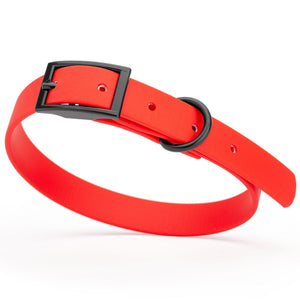 Cherry red dog collar with black hardware, made from waterproof biothane, 12 to 15 inches long 