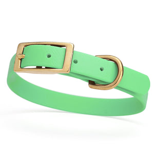 Seafoam Green collar for small dogs with brass buckle and D-ring, made from waterproof and smell proof Biothane, width 3/4 inch