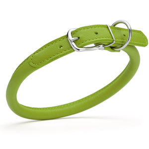 Lime green leather dog collar with metal hardware, 1/2 inches wide