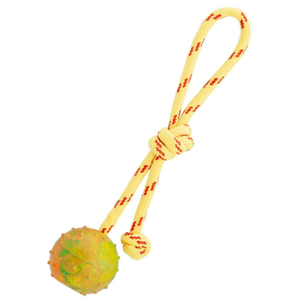 FDT Rubber Dog Ball on Rope Small Diameter 2"