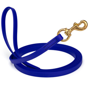 Blueberry leash for dogs with brass snap hook, 5/8 inch wide, 15 feet long, made from waterproof Biothane