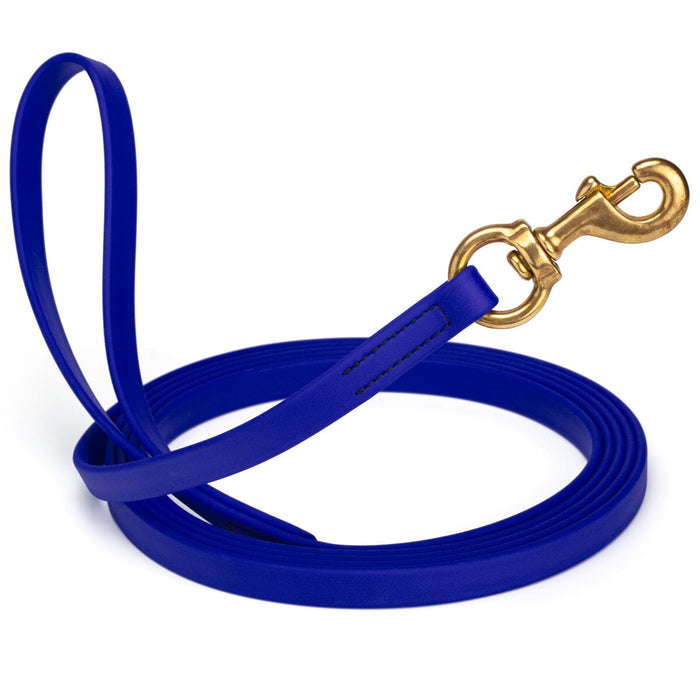 Blueberry leash for dogs with brass snap hook, 5/8 inch wide, 15 feet long, made from waterproof Biothane