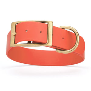 Coral waterproof collar for large dogs with brass buckle and D-ring, made from Biothane, size XL, 1.5-inch wide