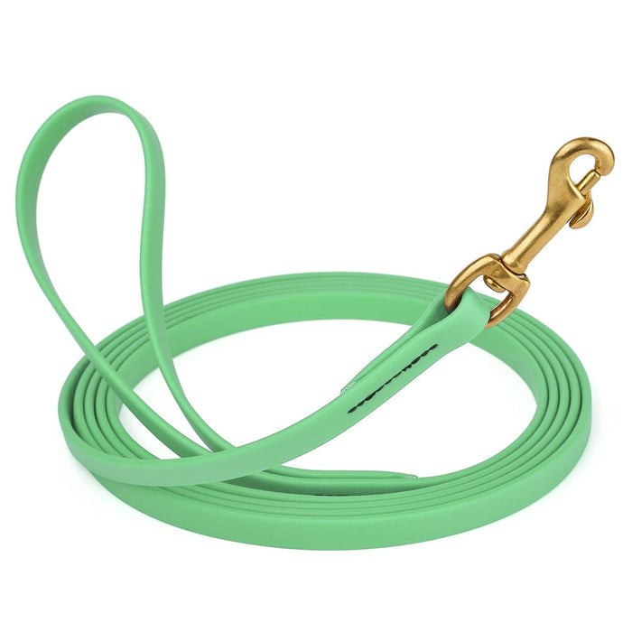 Waterproof Seafoam Green dog collar with brass clip, made from BioThane, length 10 feet, width 1/2 inch