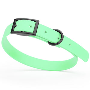 Sea Foam Green dog collar with black hardware, made from waterproof biothane, 12 to 15 inches long