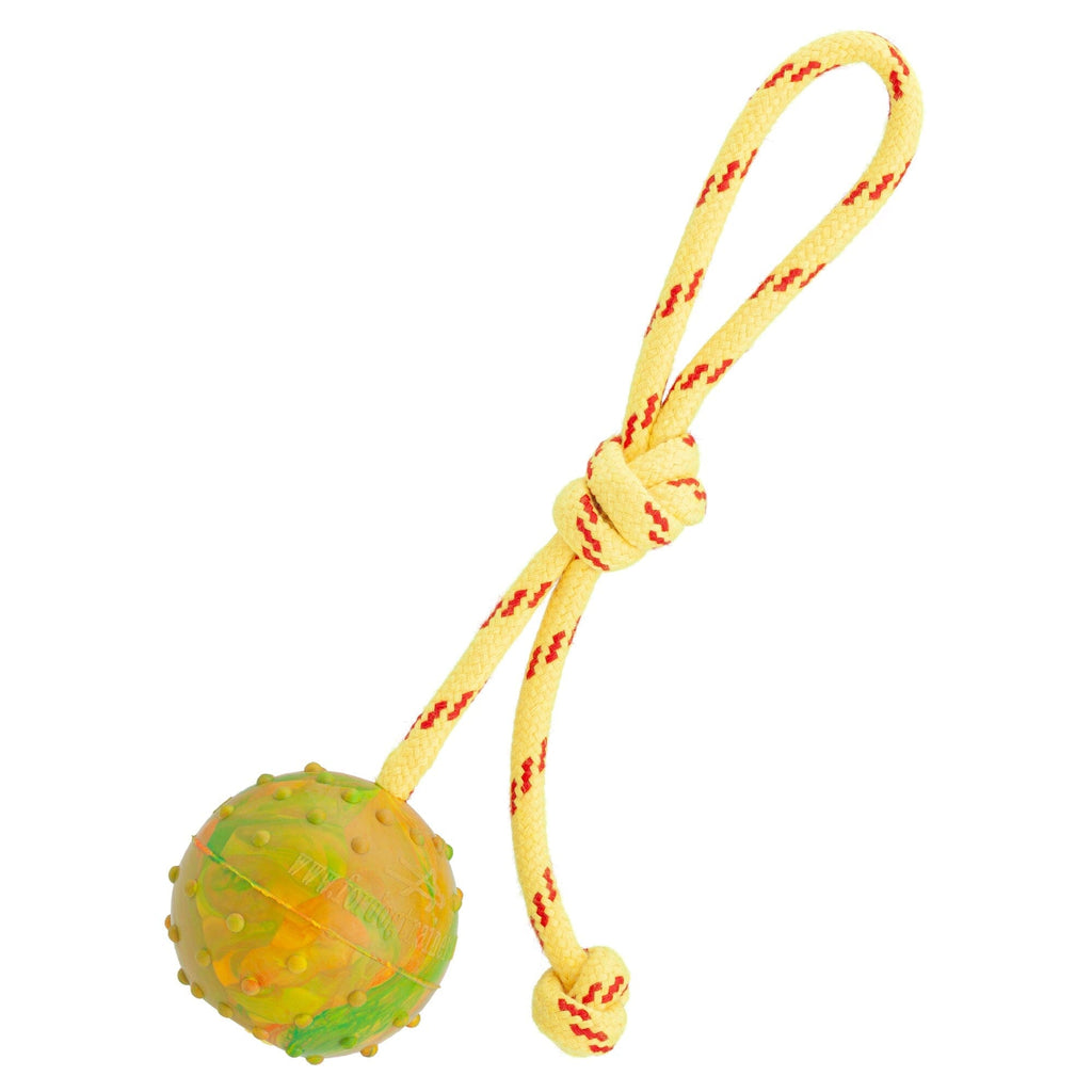 FDT Rubber Dog Ball on Rope Medium Diameter 2.3"