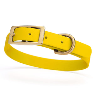 Lemon Yellow collar for small dogs with brass buckle and D-ring, made from waterproof and smell proof Biothane, width 3/4 inch