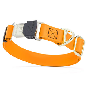 Tangerine dog collar with silver Herm Sprenger buckle and metal D-ring, made from waterproof and odor resistant Biothane