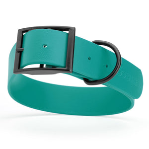 Aqua Blue waterproof collar for large dogs, 1.5 inches wide, made from Biothane, with black metal hardware