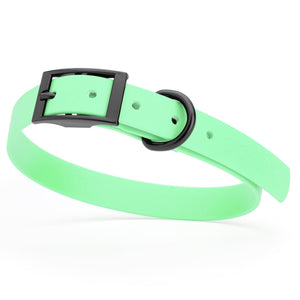 Seafoam Green waterproof dog collar with black metal buckle and D-ring, made from BioThane, fits medium dogs