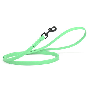 Seafoam green dog leash with black swivel clip, made from waterproof Biothane, 6 feet long, 1/2 inches wide