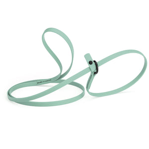 Sage green slip lead for dogs, made from waterproof Biothane, 3/8 inches wide