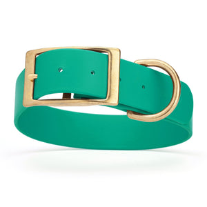 Teal waterproof collar for large dogs with brass buckle and D-ring, made from Biothane, 1.5-inch wide