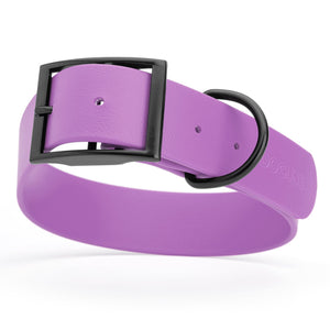 Amethyst Purple waterproof collar for large dogs, 1.5 inches wide, made from Biothane, with black metal hardware