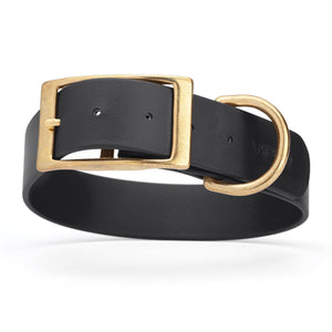 Black waterproof collar for large dogs with brass buckle and D-ring, made from Biothane, 1.5-inch wide