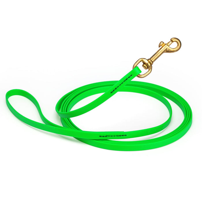 Tropical Green Biothane dog leash with brass swivel snap hook, 3/8 inch wide, 33 feet long