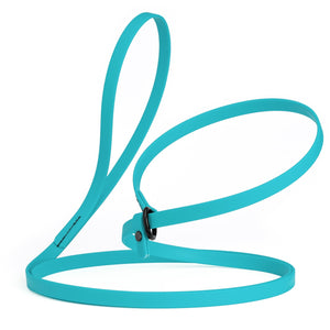 Sky blue slip lead for dogs, made from waterproof Biothane, 1/2 inches wide