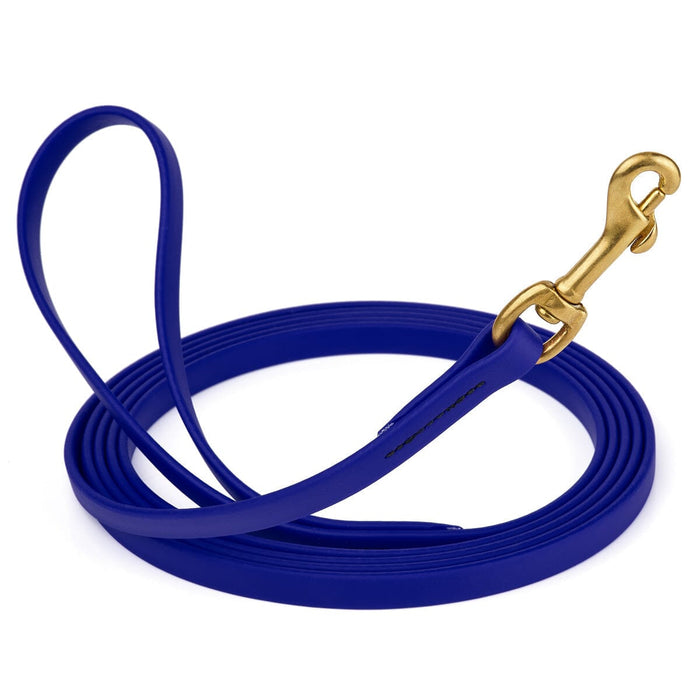 Waterproof Blueberry dog collar with brass clip, made from BioThane, length 10 feet, width 1/2 inch
